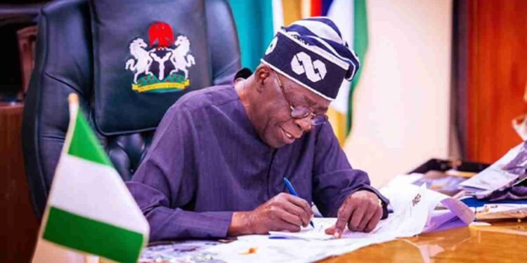 President Tinubu Makes 8 New Appointments [FULL LIST]