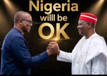 2027 Election: NDC Offers Presidential Ticket to Peter Obi, Kwankwaso