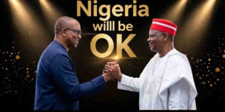 2027 Election: NDC Offers Presidential Ticket to Peter Obi, Kwankwaso