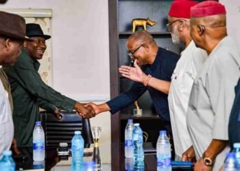 Peter Obi Breaks Silence on Meeting with Former President Jonathan