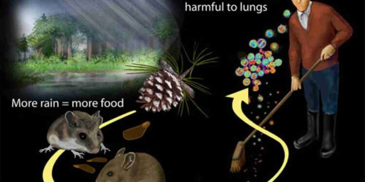 Hantavirus Alert 2026: Symptoms, Causes, Prevention & Latest Outbreak Updates You Must Know
