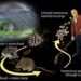 Hantavirus Alert 2026: Symptoms, Causes, Prevention & Latest Outbreak Updates You Must Know