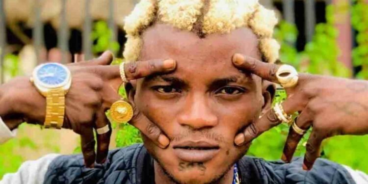 Portable Biography 2026: Net Worth, Age, Real Name, Songs, Boxing, Controversies, Career & Latest News